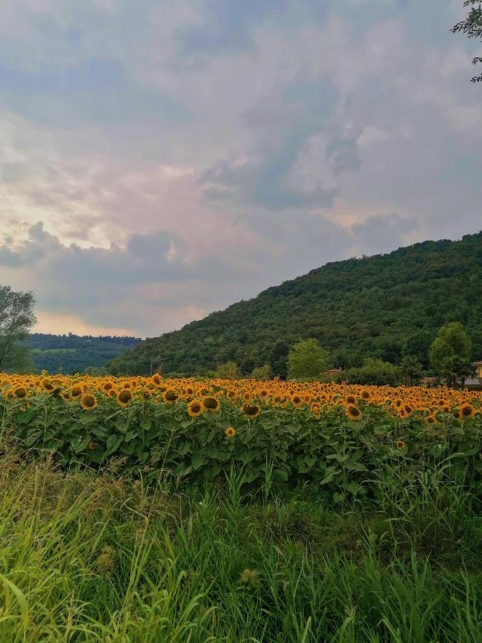 Ca' Dei Berici - Residence Ad Arcugnano Grancare Dış mekan fotoğraf