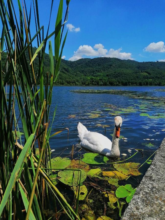 Ca' Dei Berici - Residence Ad Arcugnano Grancare Dış mekan fotoğraf