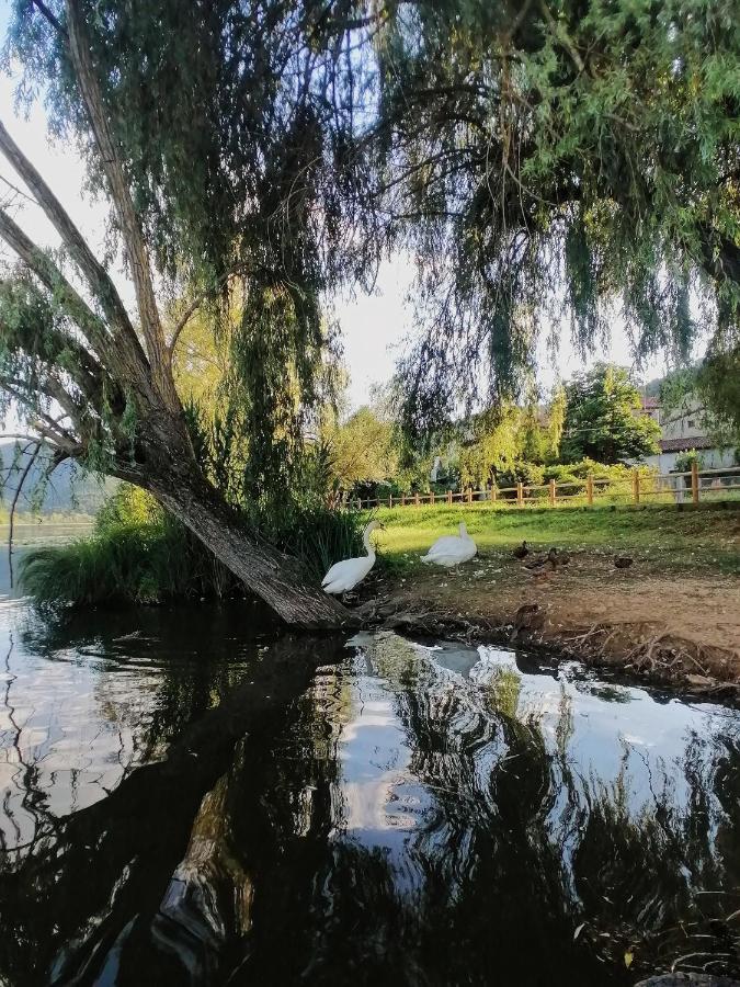 Ca' Dei Berici - Residence Ad Arcugnano Grancare Dış mekan fotoğraf