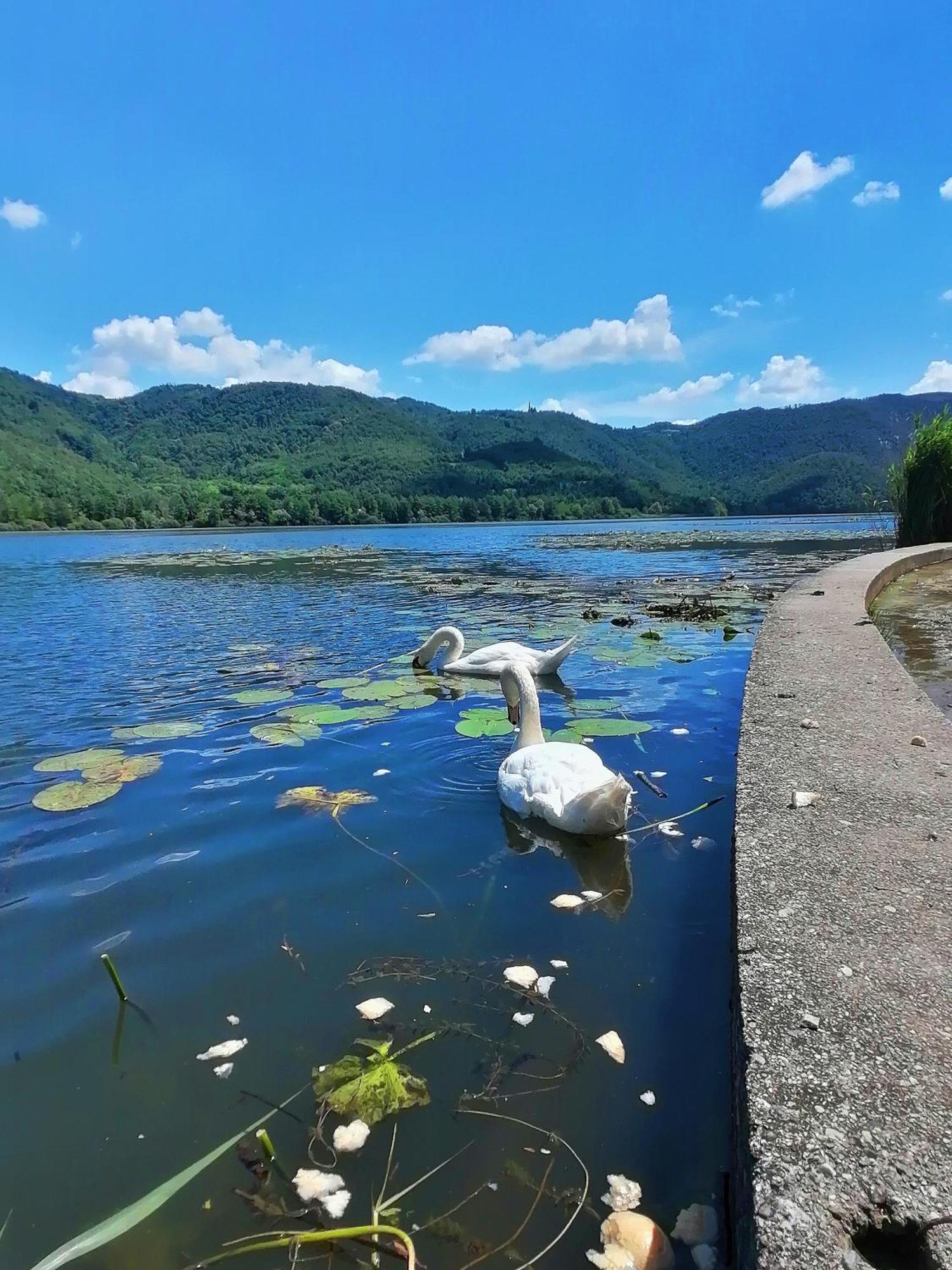 Ca' Dei Berici - Residence Ad Arcugnano Grancare Oda fotoğraf