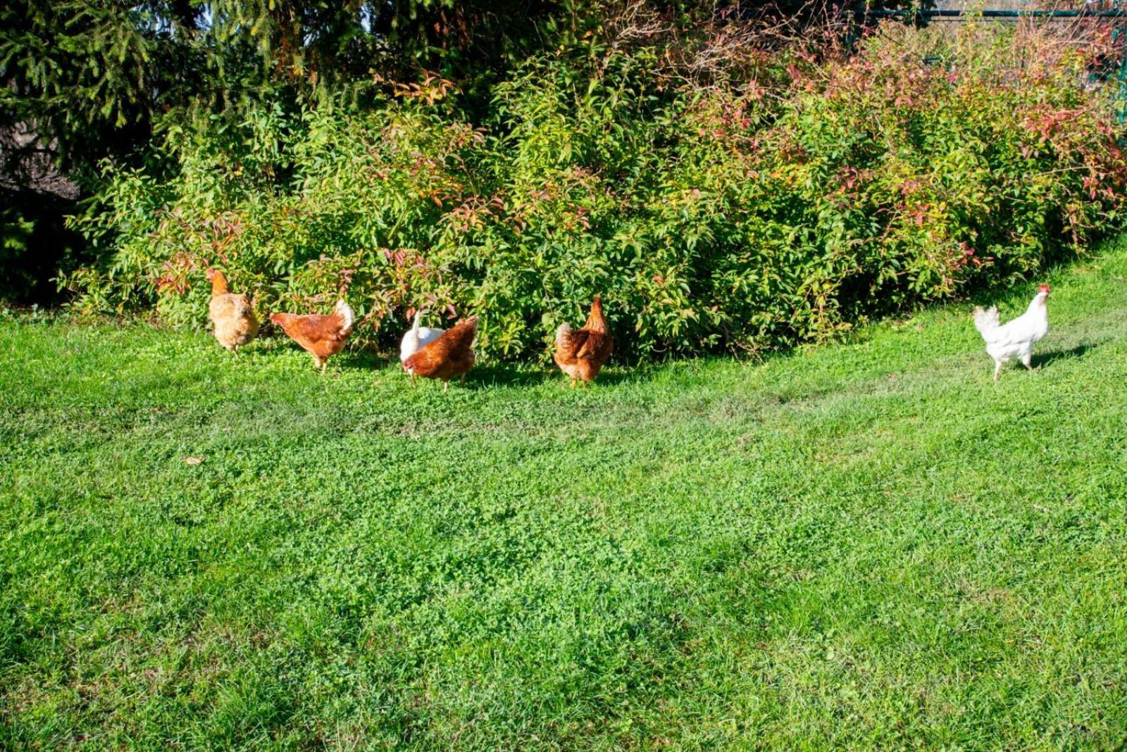 Ca' Dei Berici - Residence Ad Arcugnano Grancare Dış mekan fotoğraf